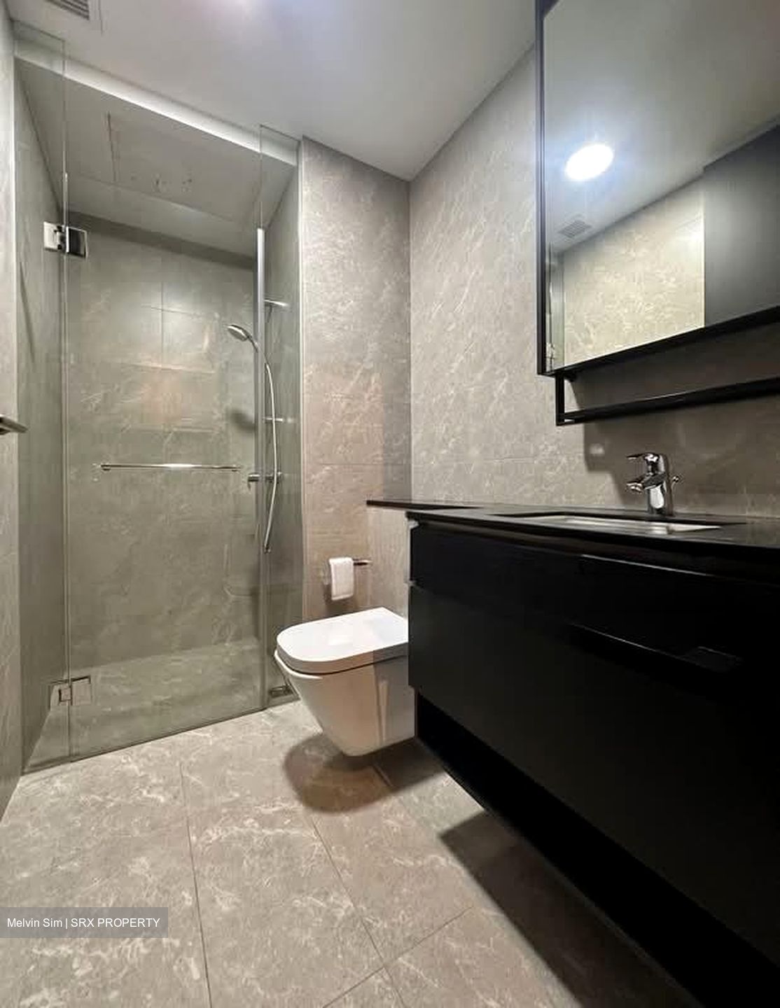 Park Colonial (D13), Condominium #588176381